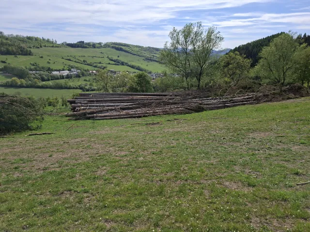 20260504_160555