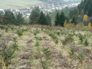 Snímka